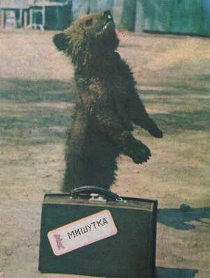 Кассиль Л. Шутки Мишутки / Фот. Г. Тейтельбаума. М.: Малыш, 1970.